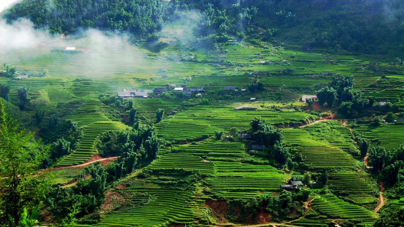 Hà Nội - Mai Châu - Mộc Châu - Cầu Kính Bạch Long - 2 Ngày 1 Đêm (Khởi hành thứ 7 hàng tuần)