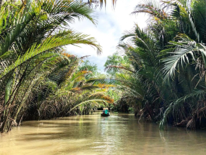 Hồ Chí Minh - Tiền Giang - Mỹ Tho - Bến Tre - 1 ngày